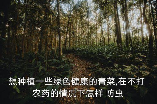 秧子不打農(nóng)藥用什么防蟲(chóng)