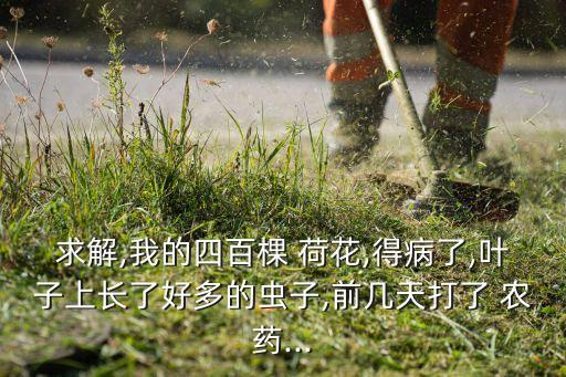 什么農(nóng)藥可以把荷花殺死,用什么藥殺死河里的荷花