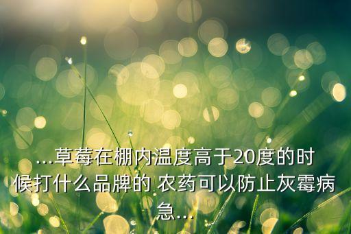 ...草莓在棚內(nèi)溫度高于20度的時(shí)候打什么品牌的 農(nóng)藥可以防止灰霉病急...