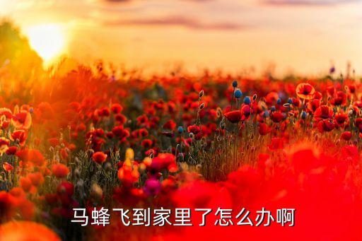 什么農藥快速消滅馬蜂,用什么消滅馬蜂最有效