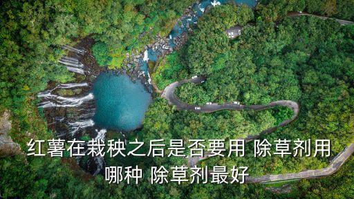 紅薯地里打什么農藥除草,什么樣的紅薯沒農藥