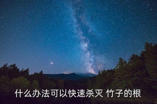 什么辦法可以快速殺滅 竹子的根