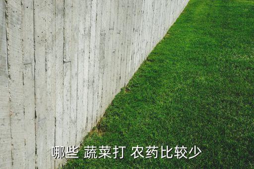 哪些 蔬菜打 農藥比較少