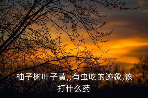 柚子樹潰瘍用什么農(nóng)藥好