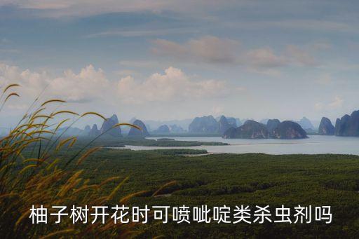 柚子樹(shù)開(kāi)花時(shí)可噴呲啶類殺蟲(chóng)劑嗎