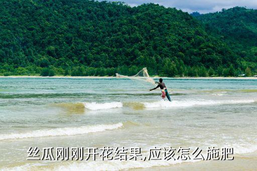 絲瓜授粉用什么農藥,絲瓜打什么農藥最好