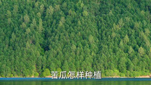 苦瓜噴什么農(nóng)藥高產(chǎn),苦瓜需要噴農(nóng)藥嗎