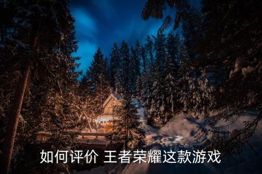 如何評價 王者榮耀這款游戲