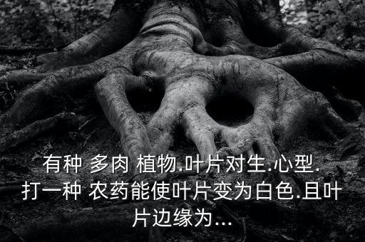 什么農藥會傷害多肉植物,多肉植物怕什么農藥