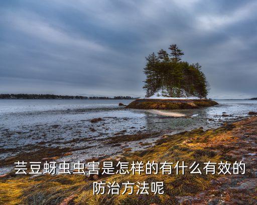 蕓豆銹病用什么農藥好,白銹病用什么農藥