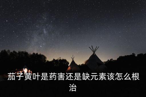 茄子黃葉是藥害還是缺元素該怎么根治