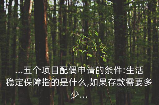 ...五個(gè)項(xiàng)目配偶申請(qǐng)的條件:生活穩(wěn)定保障指的是什么,如果存款需要多少...
