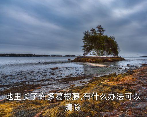 地里長了許多葛根藤,有什么辦法可以清除