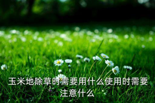 新疆玉米用什么農藥,什么農藥能殺死玉米苗