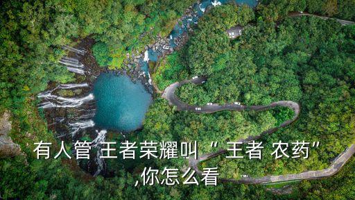 王者農(nóng)藥口紅什么意思