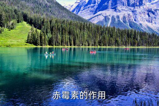 提高淀粉含量用什么農藥