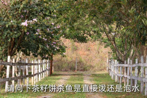 用什么農藥去除茶樹籽,茶樹用什么農藥效果最好