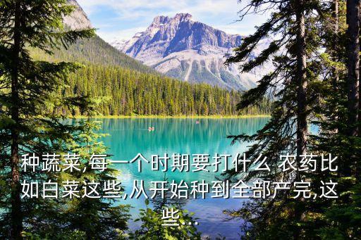 種蔬菜,每一個(gè)時(shí)期要打什么 農(nóng)藥比如白菜這些,從開(kāi)始種到全部產(chǎn)完,這些...
