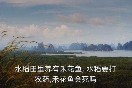 水稻田里養有禾花魚, 水稻要打 農藥,禾花魚會死嗎