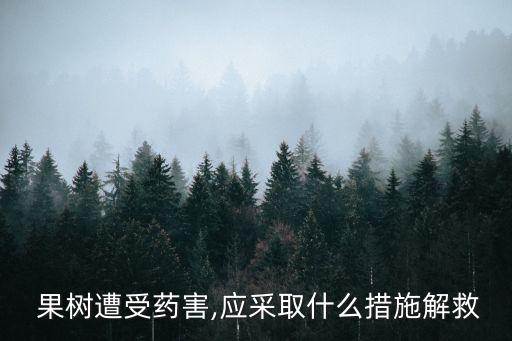  果樹遭受藥害,應(yīng)采取什么措施解救
