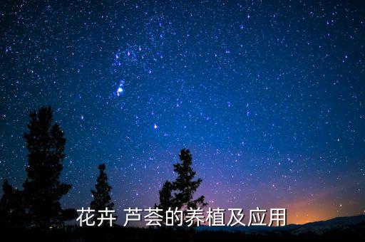 花卉 蘆薈的養植及應用