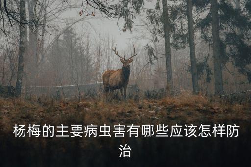 噴農(nóng)藥對楊梅有什么危害,楊梅用什么農(nóng)藥最好