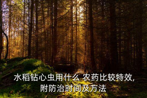 水稻鉆心蟲用什么 農藥比較特效,附防治時間及方法