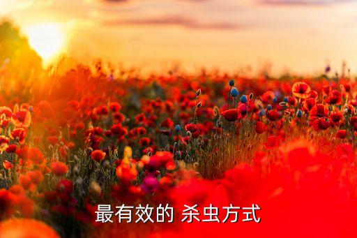 最有效的 殺蟲方式