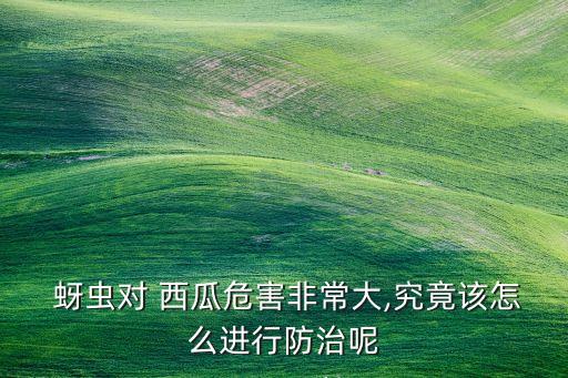 西瓜開花有蚜蟲打什么農藥