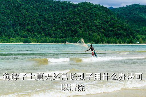 狗脖子上夏天經常長虱子用什么辦法可以清除