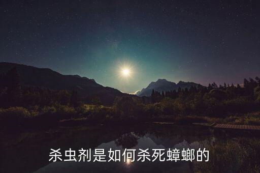 什么農藥滅爬蟲,屁爬蟲用什么農藥
