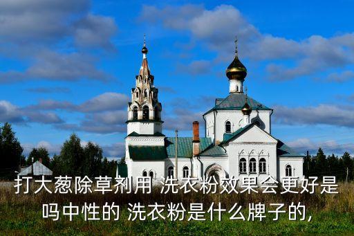 打大蔥除草劑用 洗衣粉效果會(huì)更好是嗎中性的 洗衣粉是什么牌子的,