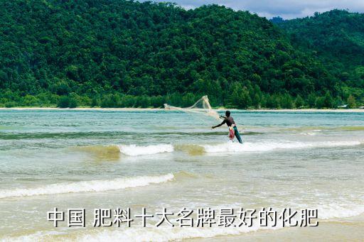 中國 肥料十大名牌最好的化肥