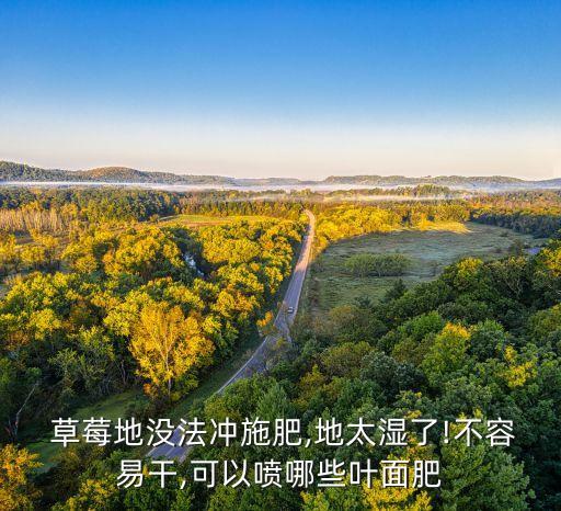  草莓地沒法沖施肥,地太濕了!不容易干,可以噴哪些葉面肥