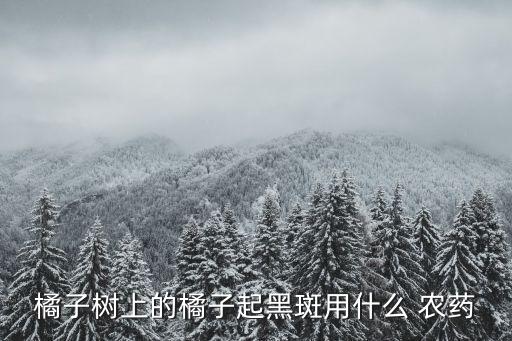 橘子樹上的橘子起黑斑用什么 農藥