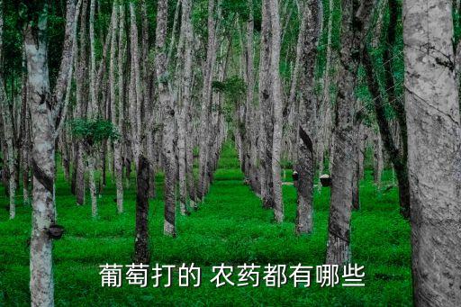 葡萄用什么農藥效果好,葡萄補水液有什么效果好