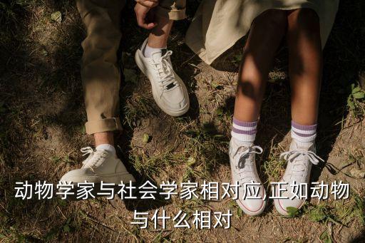 帕米特是什么農藥