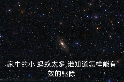 家中的小 螞蟻太多,誰知道怎樣能有效的驅除