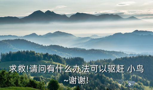 用什么農(nóng)藥能把小鳥消滅,消滅小鳥的游戲叫什么