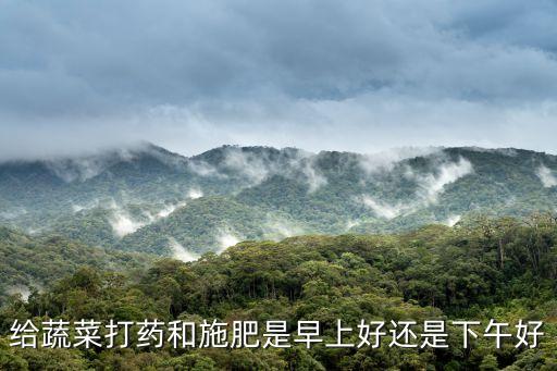 給蔬菜打藥和施肥是早上好還是下午好