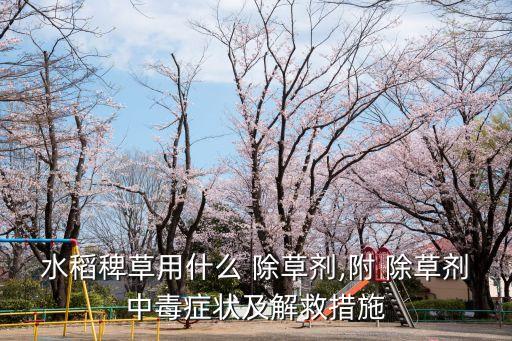 水稻稗草用什么 除草劑,附 除草劑中毒癥狀及解救措施