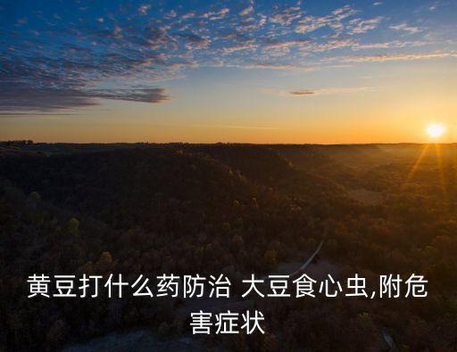 大豆要打什么農藥,大豆打幾次農藥