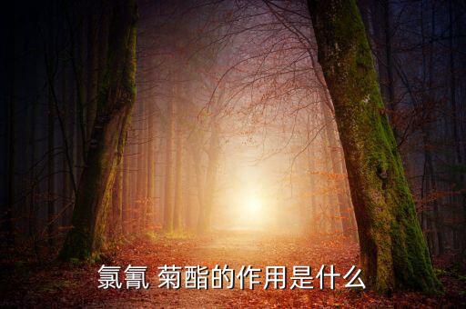 氯氰 菊酯的作用是什么