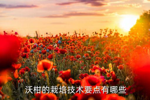  沃柑的栽培技術要點有哪些