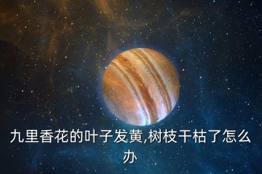 什么農藥能把樹枯死呢圖片