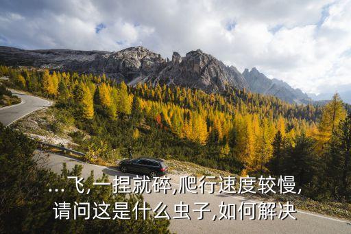 擬步甲用什么農(nóng)藥,農(nóng)藥2甲4屬于什么?