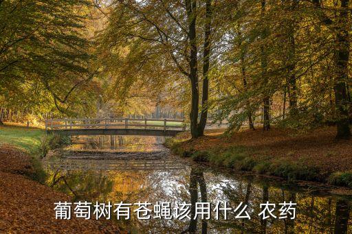 殺死蠅子的農藥是什么,敵殺死是什么類型的農藥