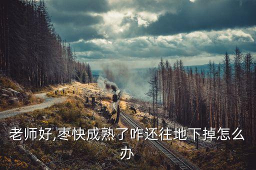 老師好,棗快成熟了咋還往地下掉怎么辦