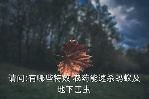 請問:有哪些特效 農藥能速殺螞蟻及地下害蟲