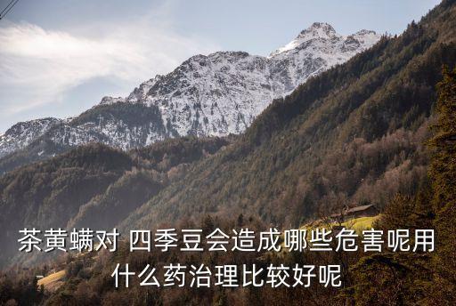 四季豆蟲害用什么農(nóng)藥,打四季豆蟲害的農(nóng)藥有哪些